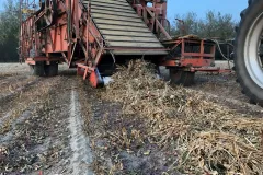 harvesting