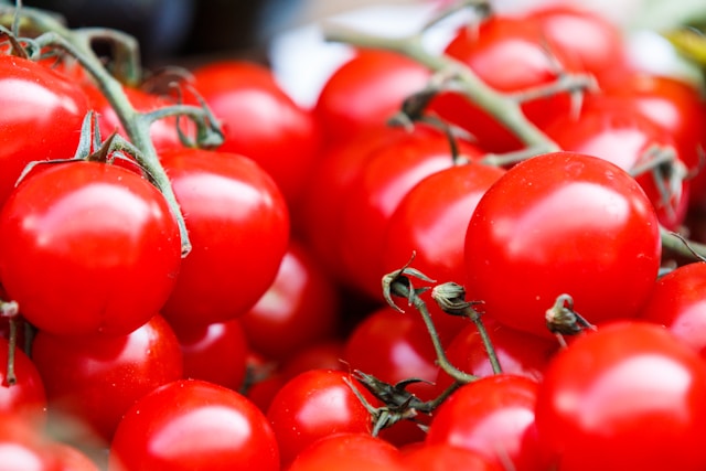 ripe tomatoes